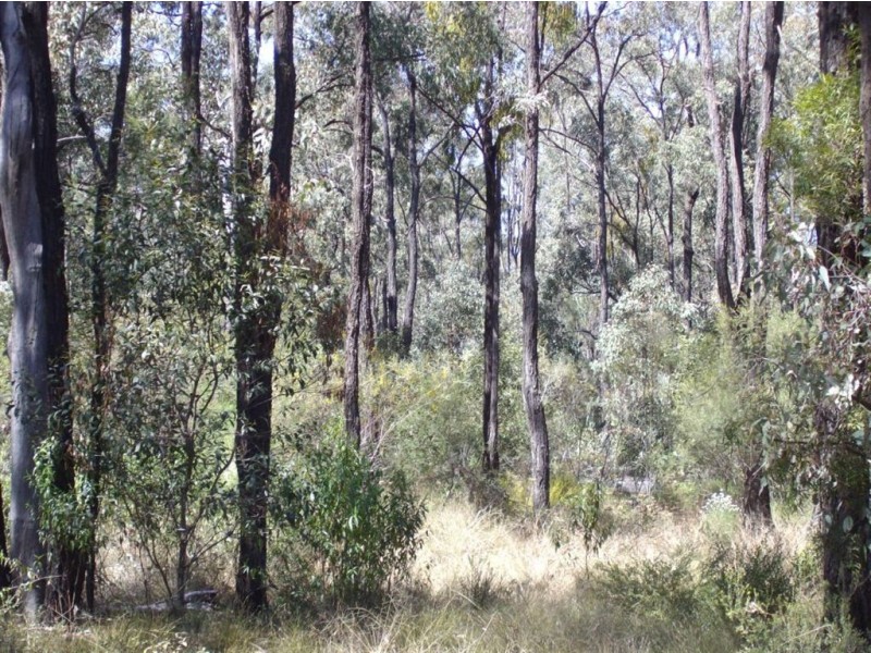 Lot 2 Centenary Road, Goombungee QLD 4354