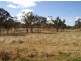 99 Mt Sibley Road, Nobby QLD 4360