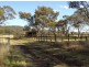99 Mt Sibley Road, Nobby QLD 4360