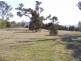 Lot 7 Woodlands Road, Greenmount QLD 4359