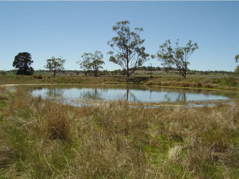 L43 Pittsworth-Scrubby Road, Pittsworth QLD 4356