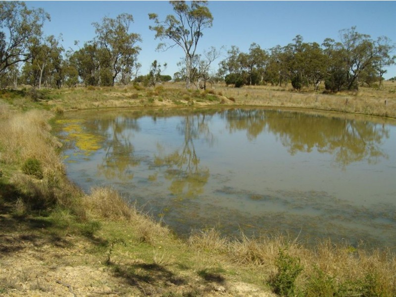 L43 Pittsworth-Scrubby Road, Pittsworth QLD 4356