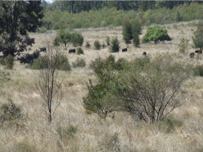 Lot 71-73 Koorongara Cemetery Road, Kooroongarra QLD 4357