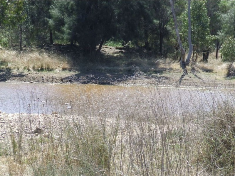 Lot 71-73 Koorongara Cemetery Road, Kooroongarra QLD 4357