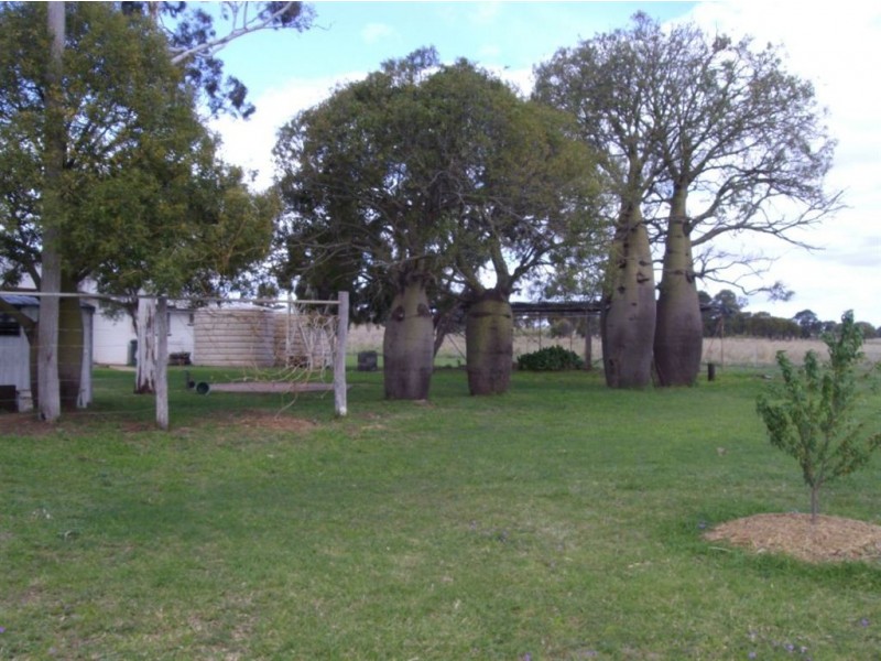 223 Sargents Road, Jandowae QLD 4410