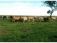 223 Sargents Road, Jandowae QLD 4410