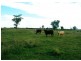 223 Sargents Road, Jandowae QLD 4410