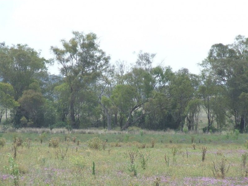 Biddeston -Southbrook Road, Biddeston QLD 4401