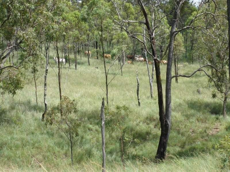 172 Jefferies Rd, Goomeri QLD 4601