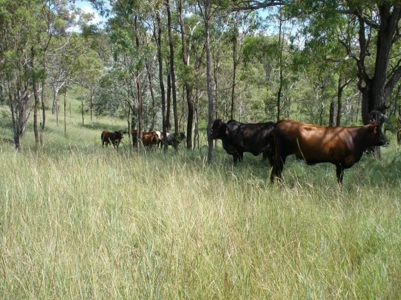 172 Jefferies Rd, Goomeri QLD 4601