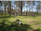 5 Acres near Toowoomba, Toowoomba QLD 4350