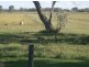 80 acres Abilene Park, Toowoomba QLD 4350