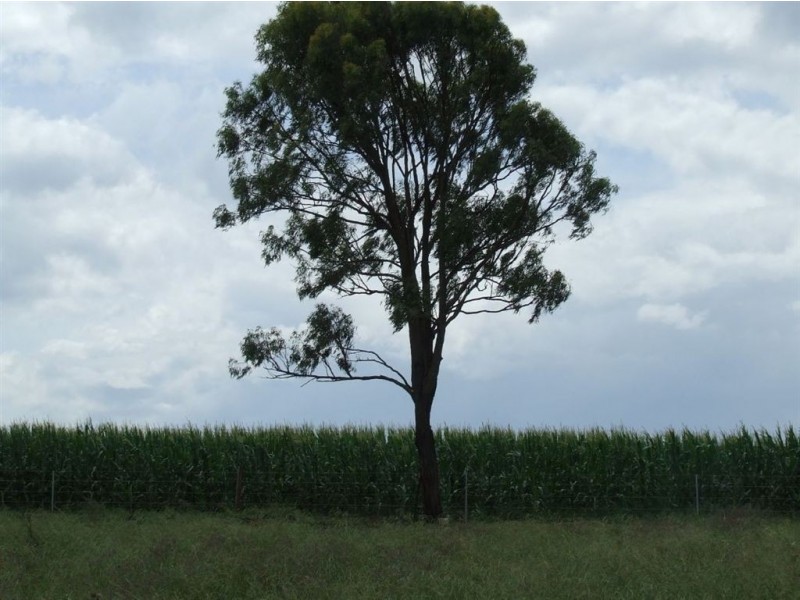 Lot 3 Faulkners Road, Greenmount East QLD 4359