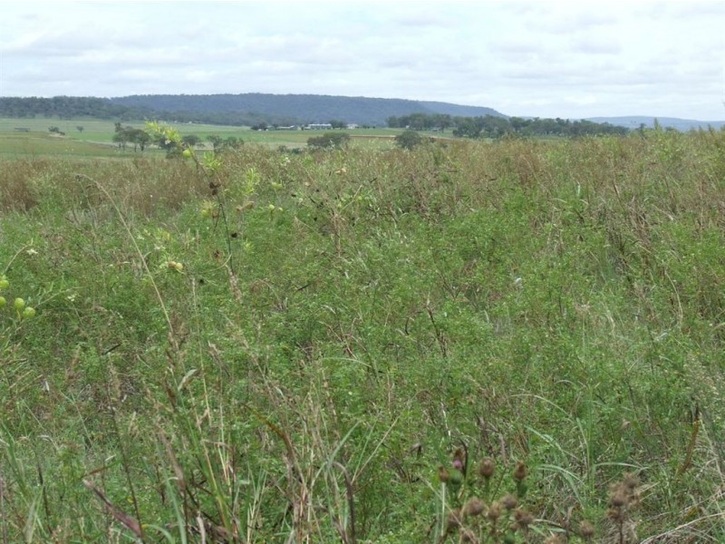 50 Gerald Lane, Greenmount QLD 4359