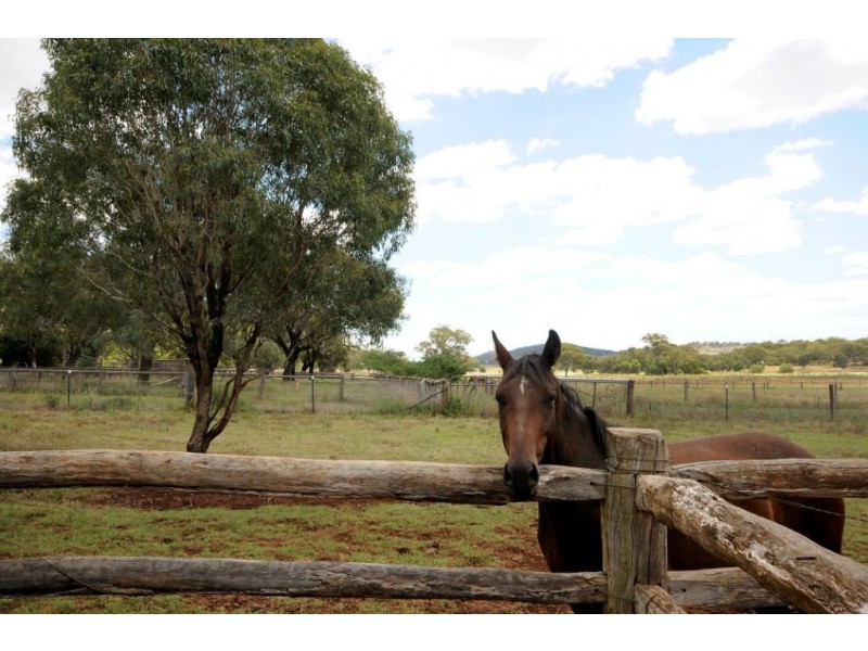 164 E Drews Road, Westbrook QLD 4350