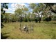 164 E Drews Road, Westbrook QLD 4350