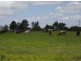 136 Gillam Road, Nobby QLD 4360