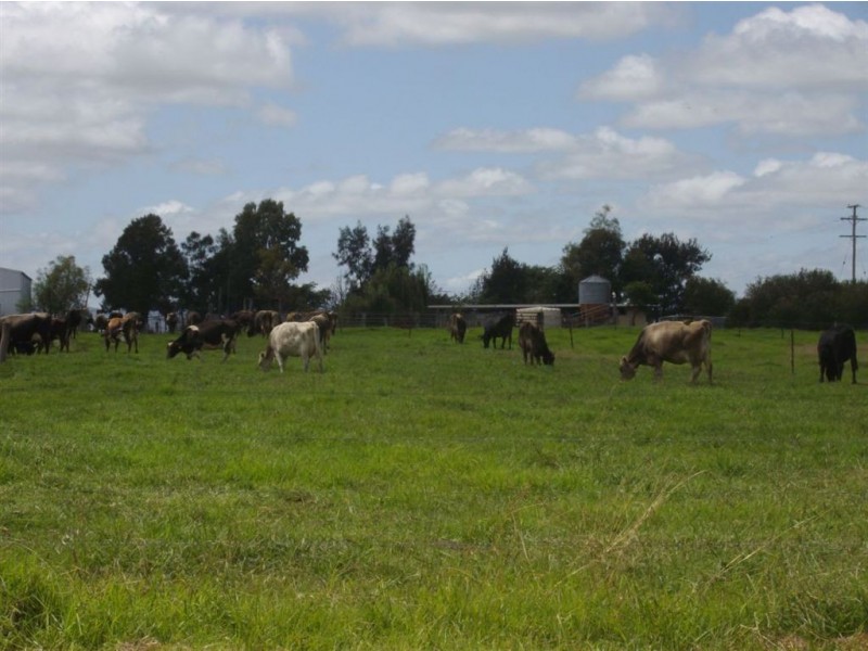 136 Gillam Road, Nobby QLD 4360