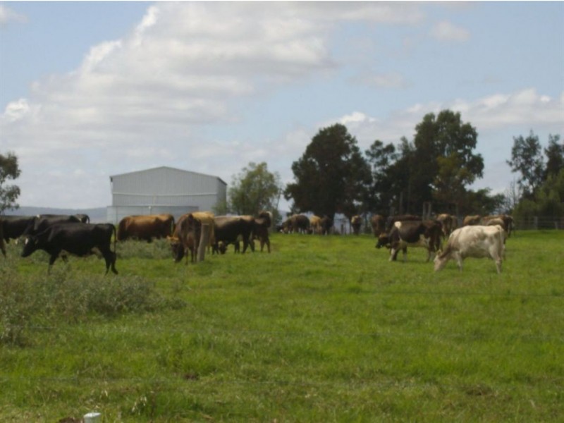 136 Gillam Road, Nobby QLD 4360