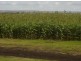 136 Gillam Road, Nobby QLD 4360