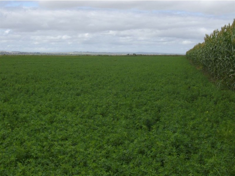 136 Gillam Road, Nobby QLD 4360