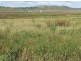 1670 Toowoomba Cecil Plains Road, Biddeston QLD 4401