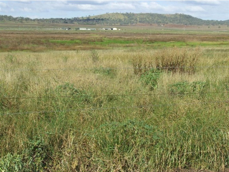 1670 Toowoomba Cecil Plains Road, Biddeston QLD 4401