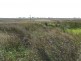 1670 Toowoomba Cecil Plains Road, Biddeston QLD 4401