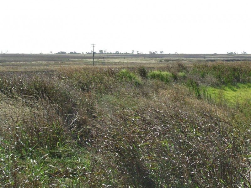 1670 Toowoomba Cecil Plains Road, Biddeston QLD 4401