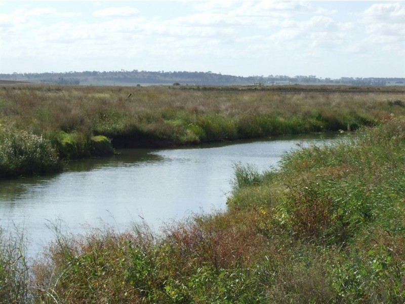 1670 Toowoomba Cecil Plains Road, Biddeston QLD 4401