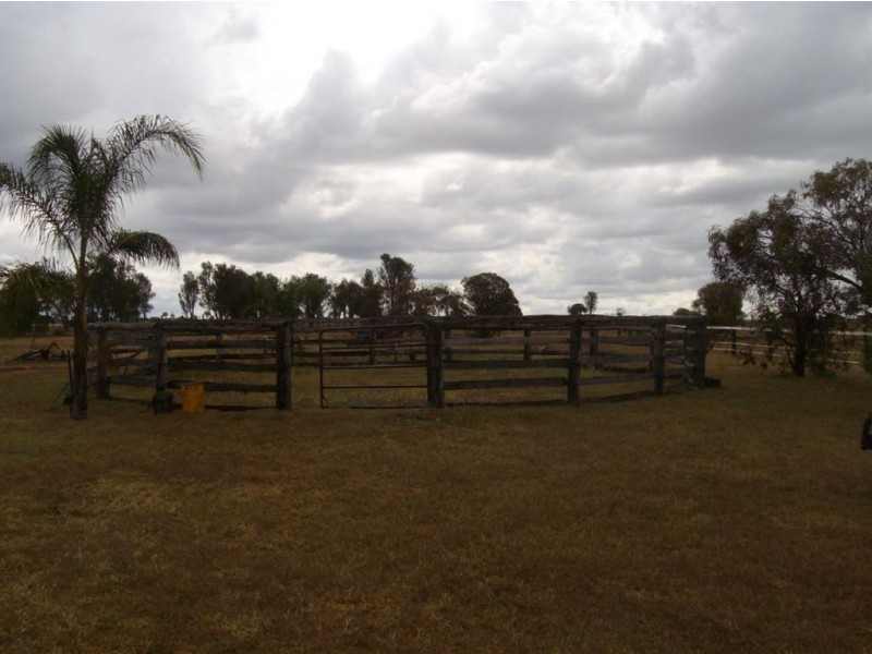 1183 Niagara Road, Jandowae QLD 4410