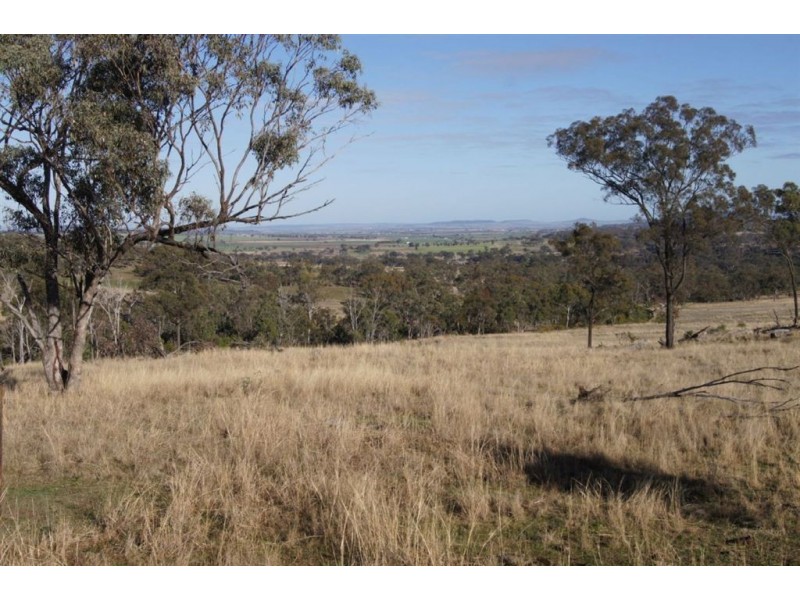 Lot 1-2 Halls Road, Goomburra QLD 4362