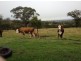 Lot 1-2 Halls Road, Goomburra QLD 4362
