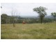 Lot 1-2 Halls Road, Goomburra QLD 4362