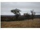 Lot 1-2 Halls Road, Goomburra QLD 4362