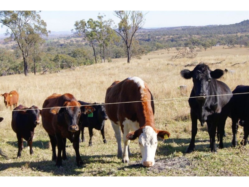 Lot 1-2 Halls Road, Goomburra QLD 4362