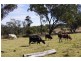 Lot 1-2 Halls Road, Goomburra QLD 4362