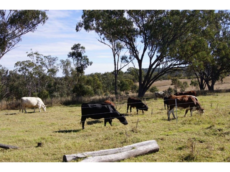 Lot 1-2 Halls Road, Goomburra QLD 4362