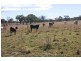 Lot 1-2 Halls Road, Goomburra QLD 4362
