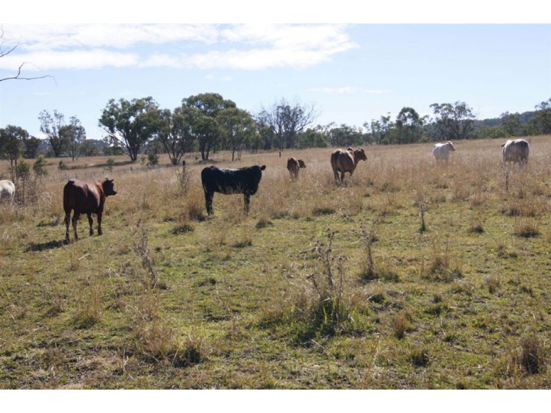 Lot 1-2 Halls Road, Goomburra QLD 4362