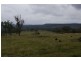 Lot 1-2 Halls Road, Goomburra QLD 4362