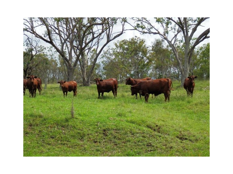 80 Hendrie Road, Pilton QLD 4361