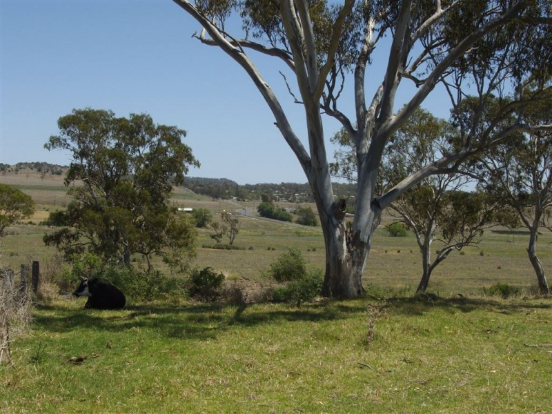 31 Main Street, Meringandan QLD 4352