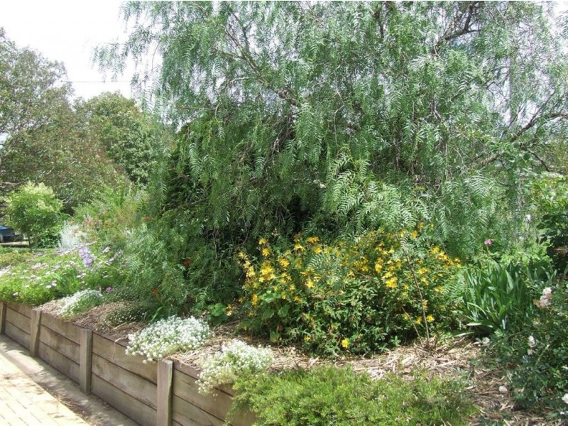 27 Graham Road, Torrington QLD 4350