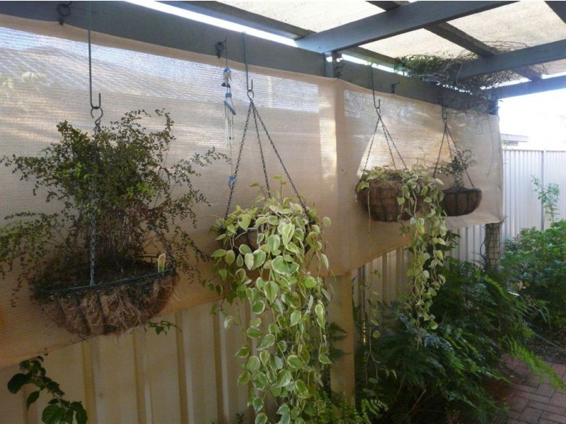 45/303 Spring Street, Kearneys Spring QLD 4350