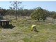 733 Felton Road, Pittsworth QLD 4356