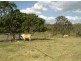 47 Main Camp Creek Road, Thornton QLD 4341