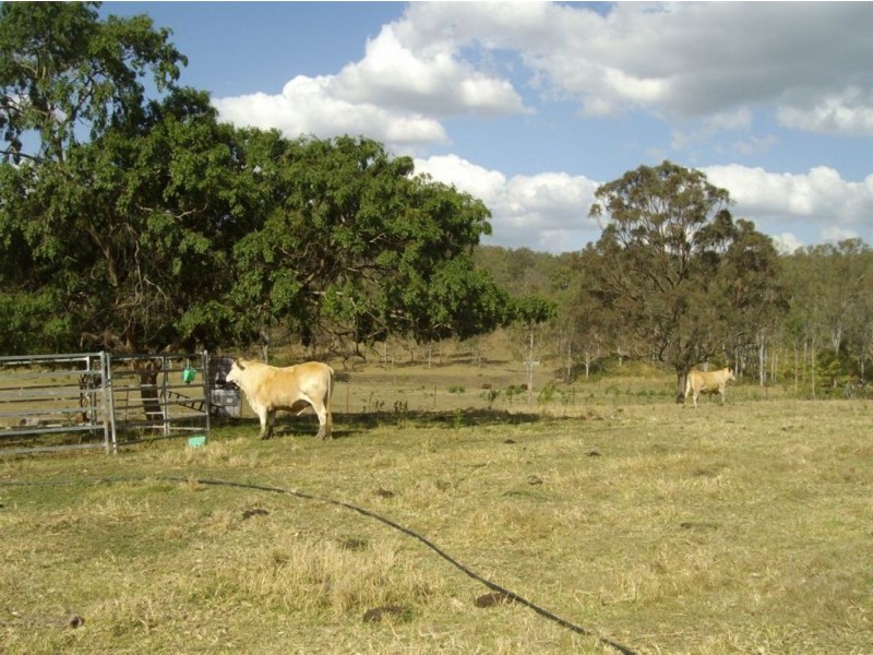 47 Main Camp Creek Road, Thornton QLD 4341