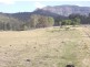 47 Main Camp Creek Road, Thornton QLD 4341