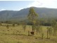 47 Main Camp Creek Road, Thornton QLD 4341